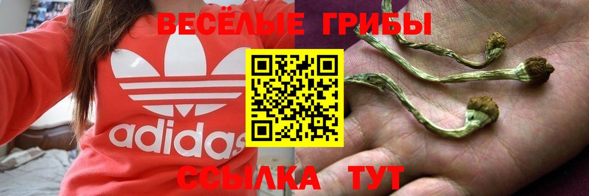 Галлюциногенные грибы GOLDEN TEACHER  Вход с VPN  Слободской 